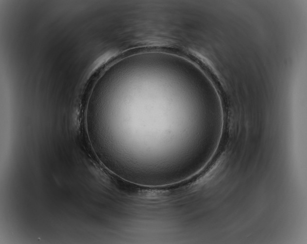 X0000088491163200705221421