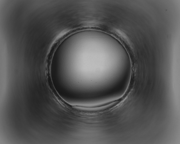 X0000088491164200705221421