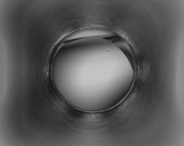 X0000088491165200705221421