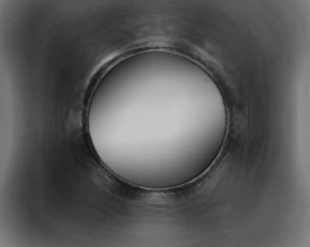 X0000088491166200705221421