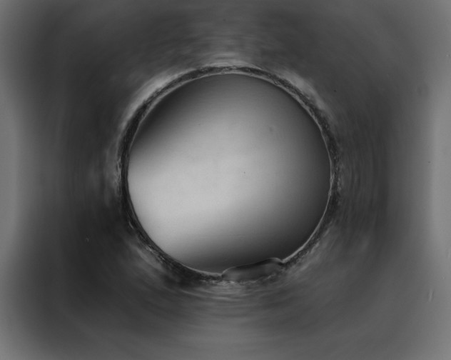 X0000088491167200705221421