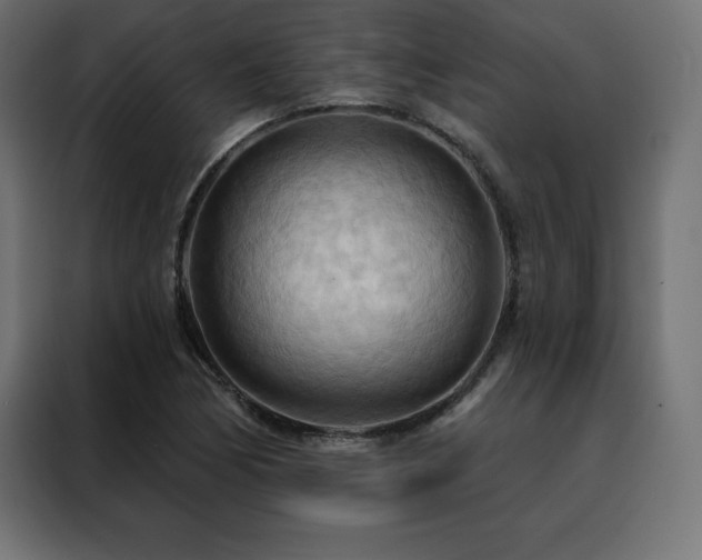 X0000088491170200705221421