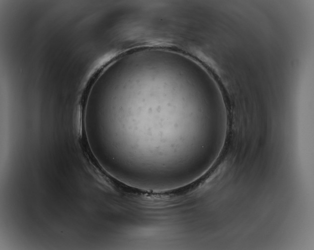 X0000088491171200705221421