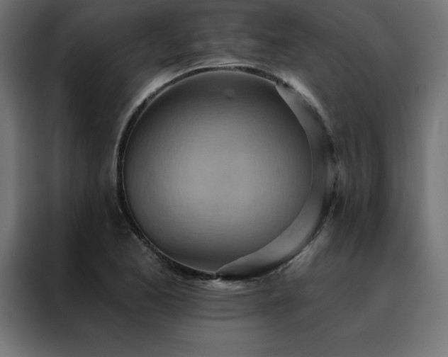 X0000088491173200705221421
