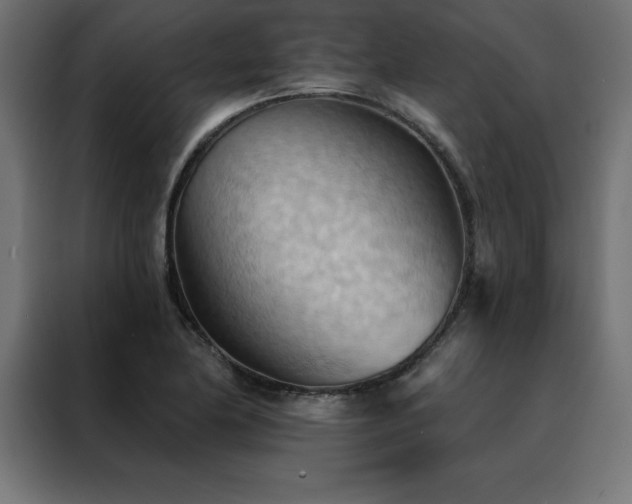 X0000088491174200705221421