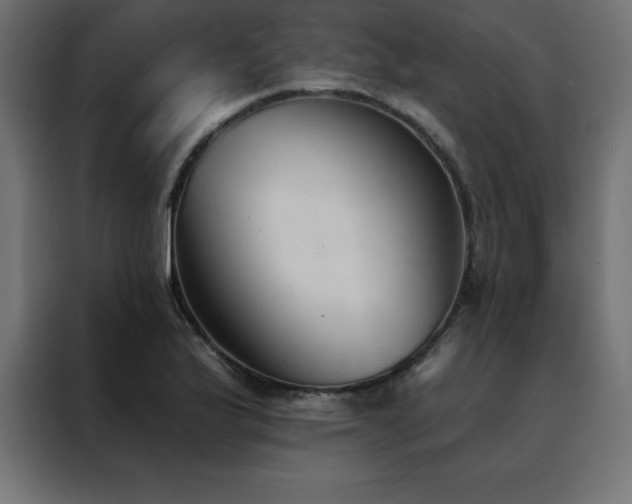 X0000088491175200705221421