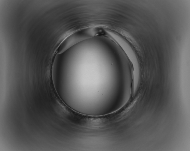 X0000088491177200705221421