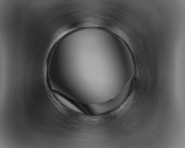X0000088491179200705221421