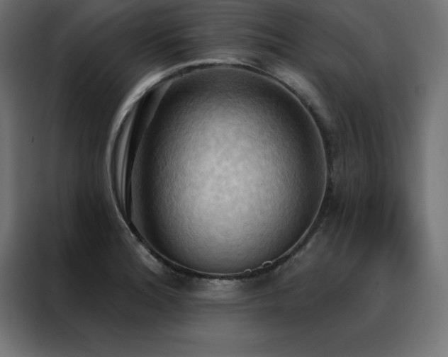 X0000088491180200705221421