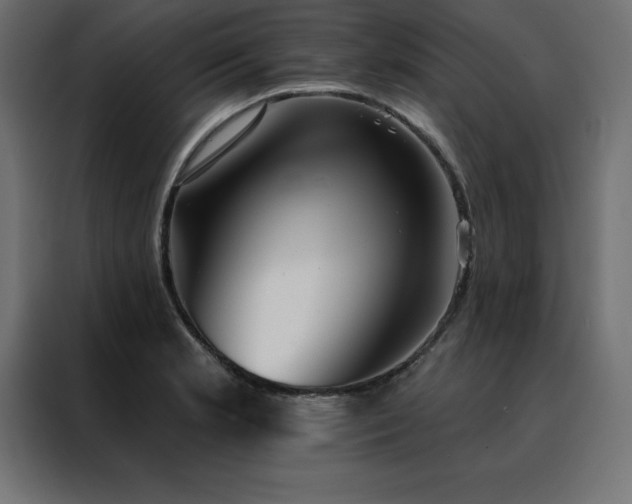 X0000088491181200705221421