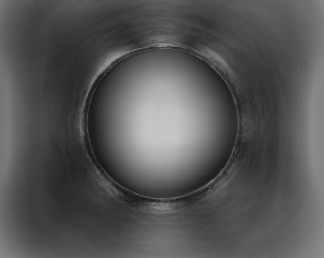 X0000088491182200705221421