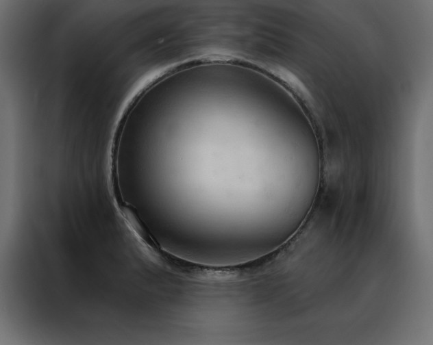 X0000088491183200705221421