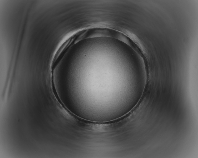 X0000088491184200705221421