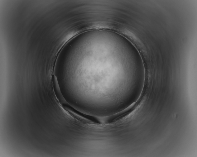 X0000088491185200705221421