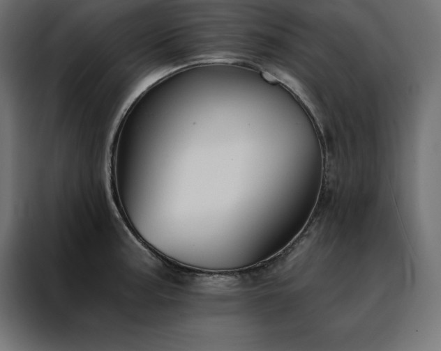 X0000088491187200705221421