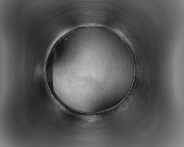 X0000088491189200705221421