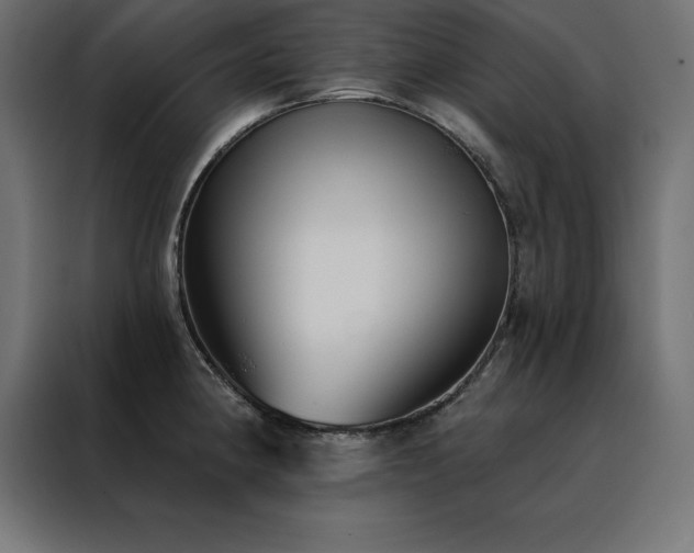 X0000088491190200705221421