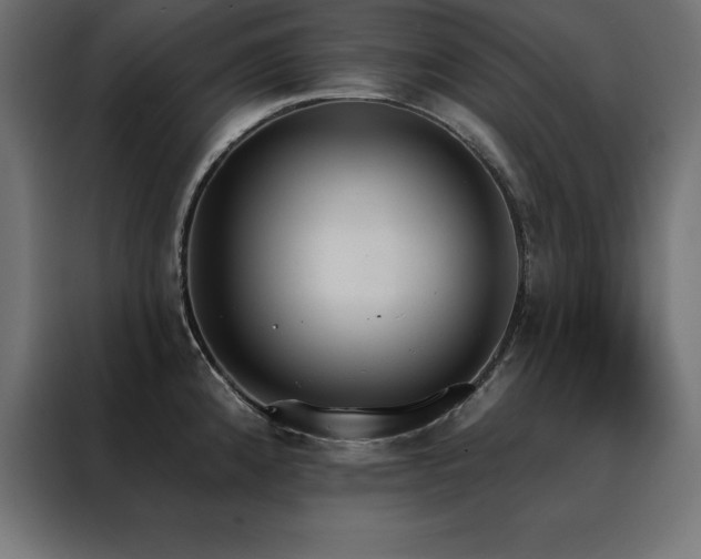 X0000088491192200705221421