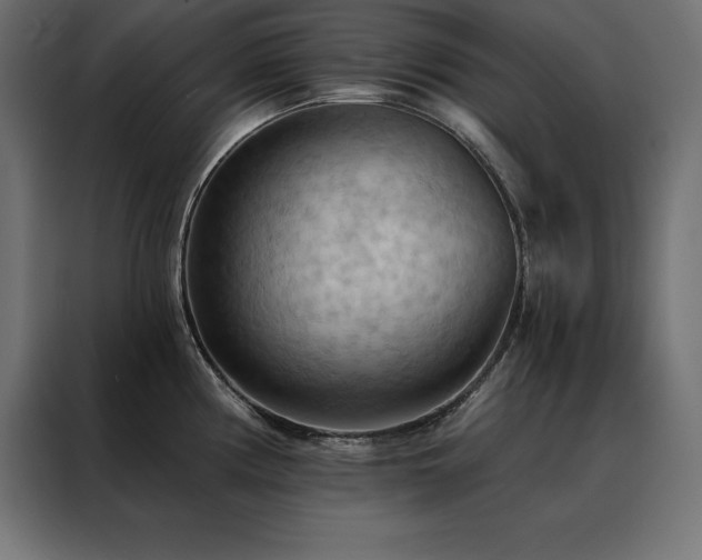 X0000088491194200705221421