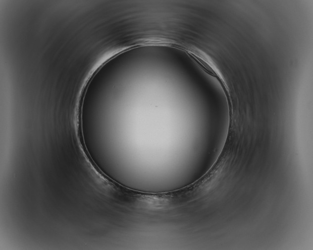 X0000088491195200705221421