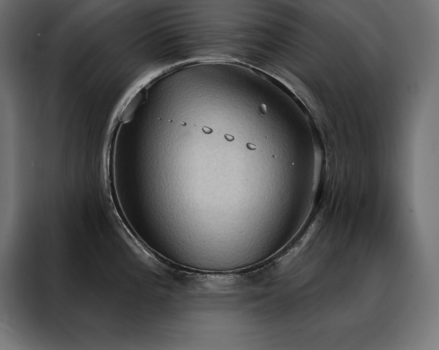 X0000088491196200705221421