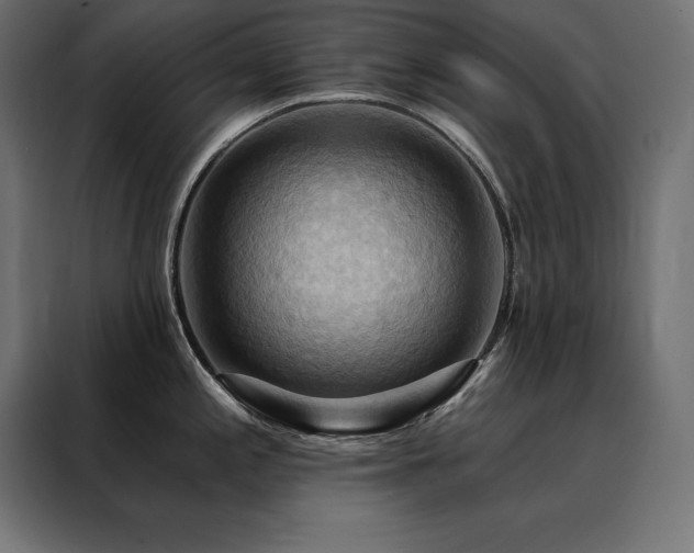 X0000088491197200705221421