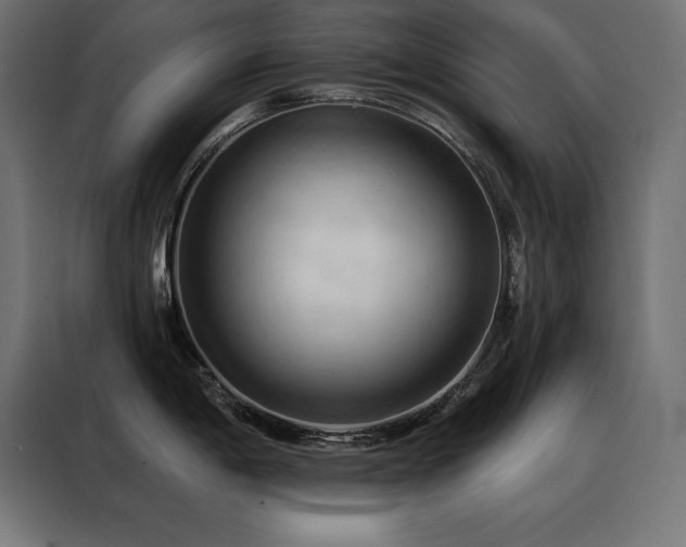 X0000088491198200705221420