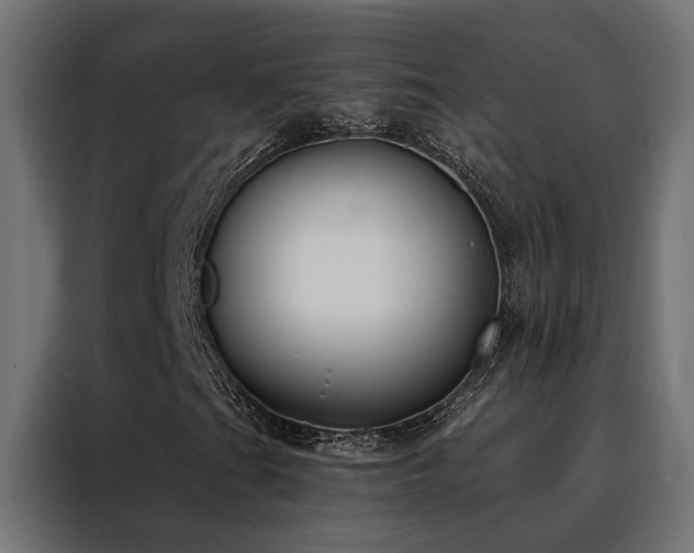 X0000088491201200705221420