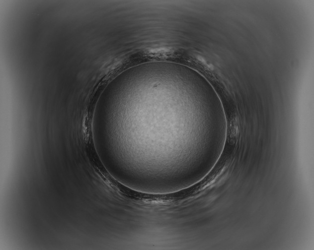 X0000088491202200705221420
