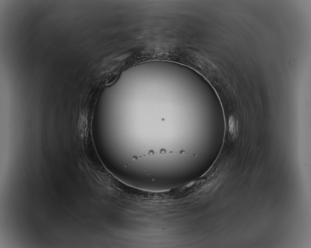 X0000088491203200705221420