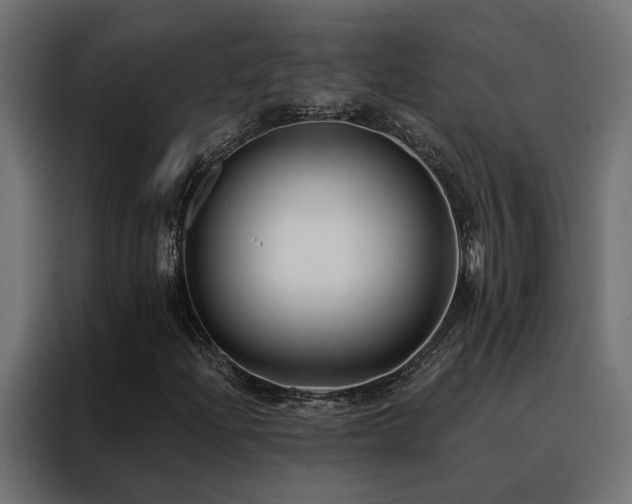 X0000088491204200705221420