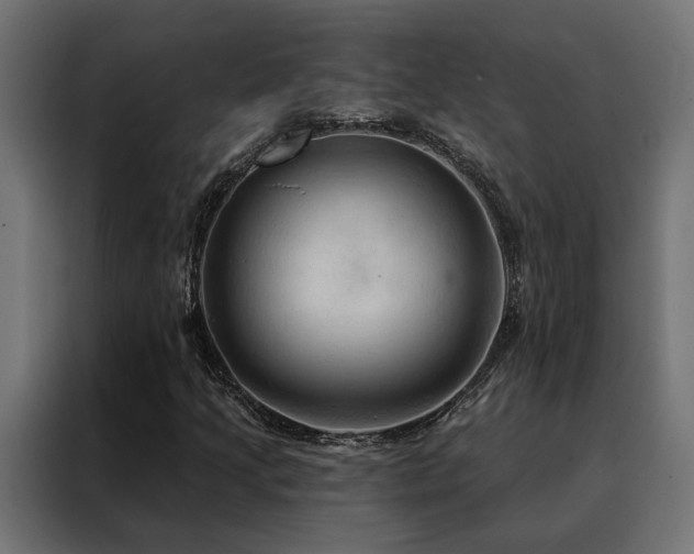 X0000088491205200705221420