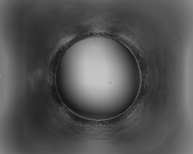 X0000088491207200705221420