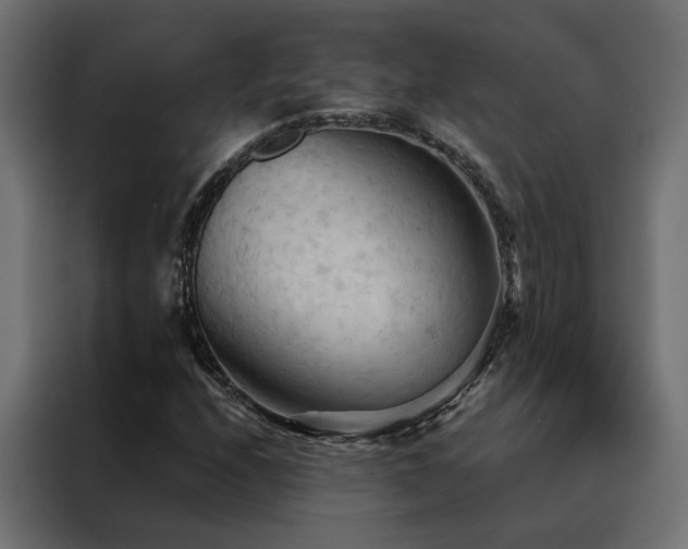 X0000088491208200705221420