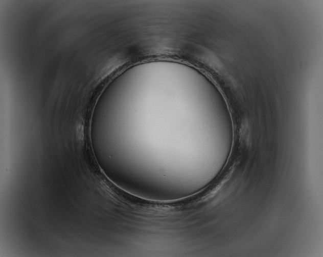 X0000088491209200705221420
