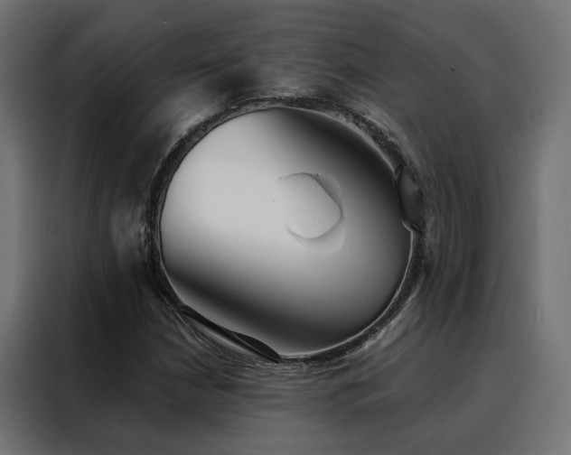 X0000088491210200705221420