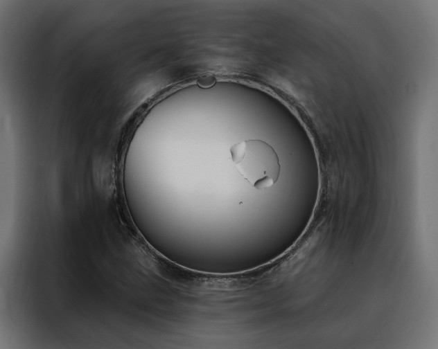 X0000088491211200705221420
