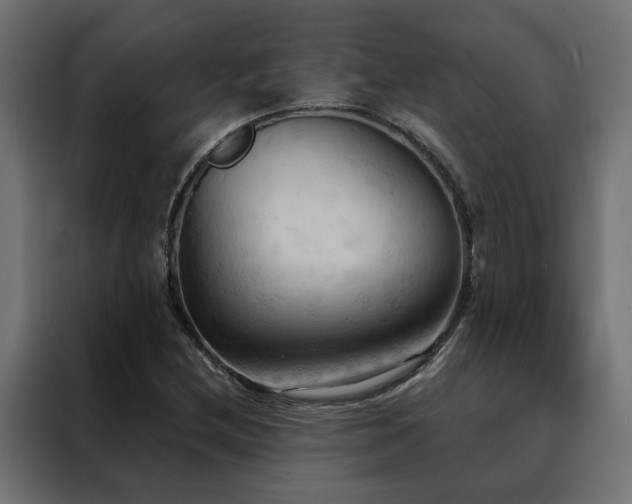 X0000088491212200705221420