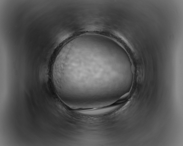 X0000088491213200705221420