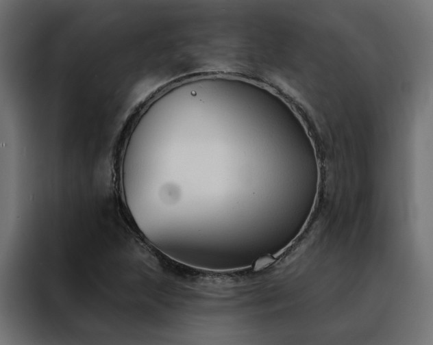X0000088491215200705221420
