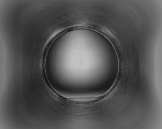 X0000088491216200705221420