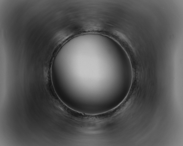 X0000088491217200705221420