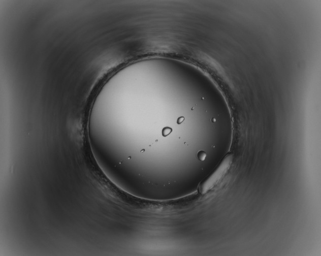 X0000088491218200705221420