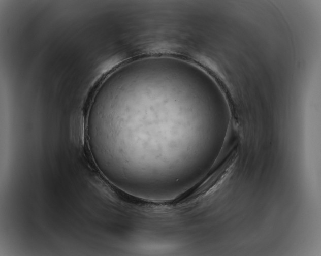 X0000088491219200705221420