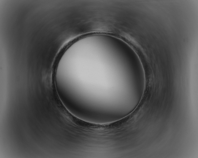 X0000088491222200705221420