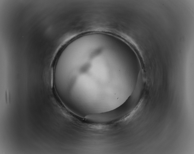 X0000088491223200705221420
