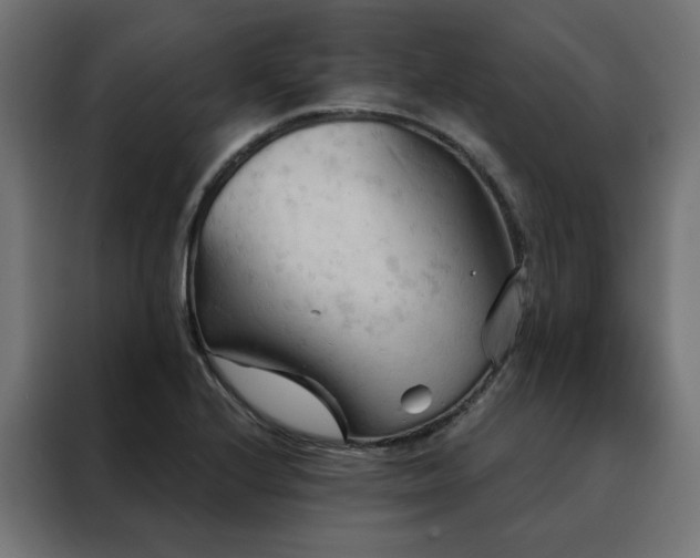 X0000088491224200705221420