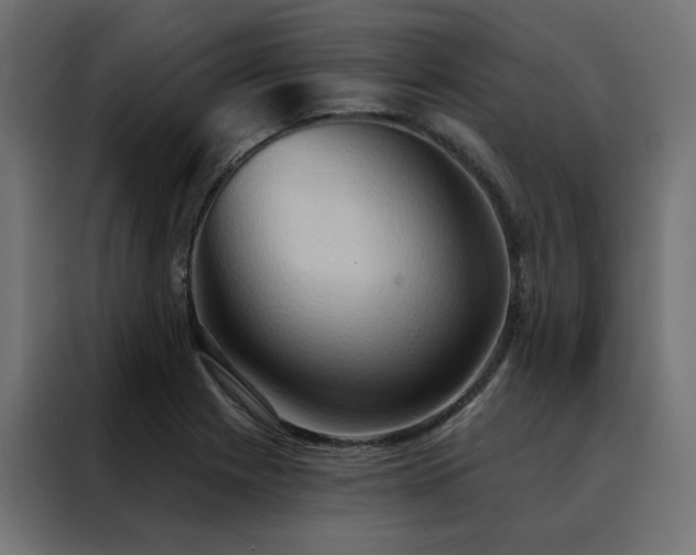 X0000088491225200705221420