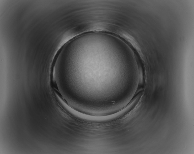 X0000088491226200705221420