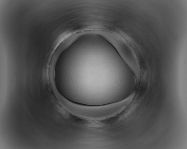 X0000088491230200705221420